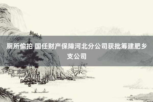 厕所偷拍 国任财产保障河北分公司获批筹建肥乡支公司