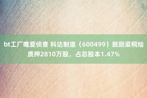 bt工厂唯爱侦查 科达制造（600499）鼓励梁桐灿质押2810万股，占总股本1.47%