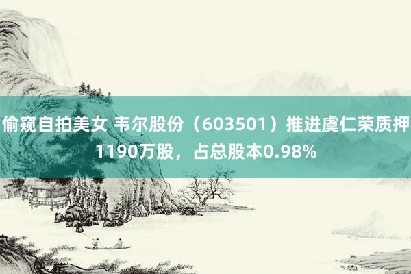 偷窥自拍美女 韦尔股份（603501）推进虞仁荣质押1190万股，占总股本0.98%