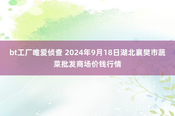 bt工厂唯爱侦查 2024年9月18日湖北襄樊市蔬菜批发商场价钱行情