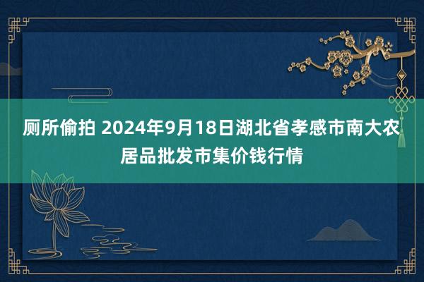 厕所偷拍 2024年9月18日湖北省孝感市南大农居品批发市集价钱行情