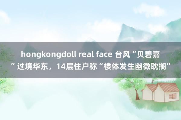 hongkongdoll real face 台风“贝碧嘉”过境华东，14层住户称“楼体发生幽微耽搁”