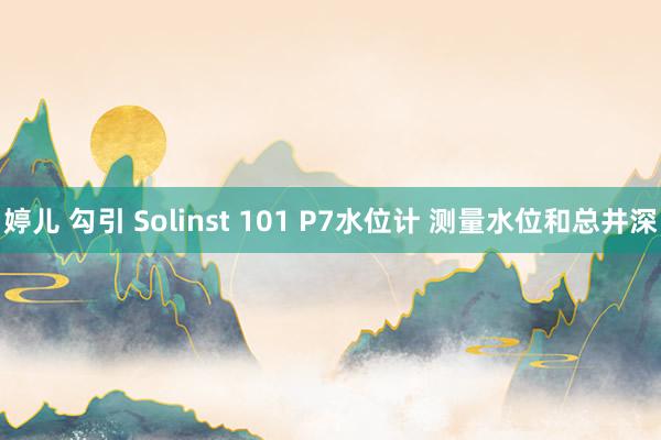 婷儿 勾引 Solinst 101 P7水位计 测量水位和总井深