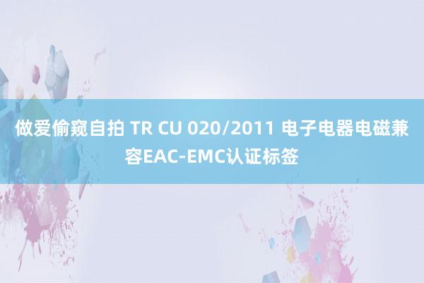 做爱偷窥自拍 TR CU 020/2011 电子电器电磁兼容EAC-EMC认证标签