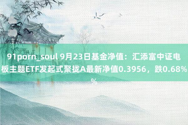 91porn_soul 9月23日基金净值：汇添富中证电板主题ETF发起式聚拢A最新净值0.3956，跌0.68%