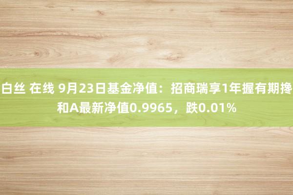 白丝 在线 9月23日基金净值：招商瑞享1年握有期搀和A最新净值0.9965，跌0.01%