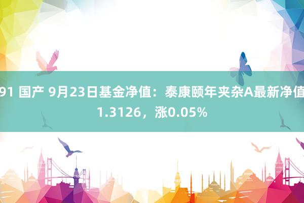 91 国产 9月23日基金净值：泰康颐年夹杂A最新净值1.3126，涨0.05%