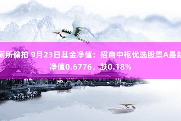 厕所偷拍 9月23日基金净值：招商中枢优选股票A最新净值0.6776，跌0.18%