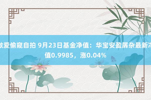 做爱偷窥自拍 9月23日基金净值：华宝安盈羼杂最新净值0.9985，涨0.04%