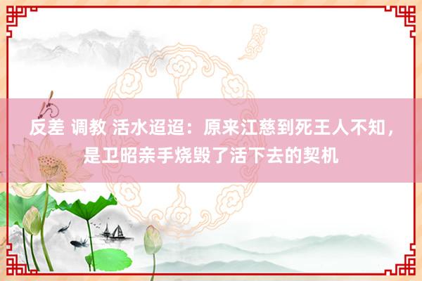 反差 调教 活水迢迢：原来江慈到死王人不知，是卫昭亲手烧毁了活下去的契机