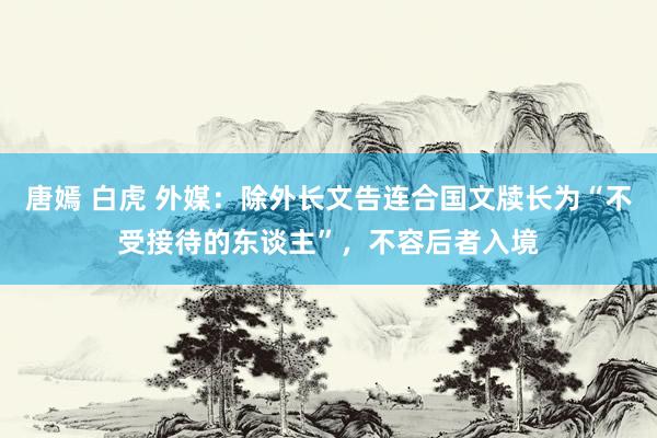 唐嫣 白虎 外媒：除外长文告连合国文牍长为“不受接待的东谈主”，不容后者入境