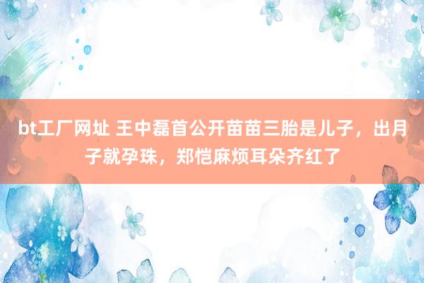 bt工厂网址 王中磊首公开苗苗三胎是儿子，出月子就孕珠，郑恺麻烦耳朵齐红了