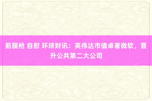 筋膜枪 自慰 环球财讯：英伟达市值卓著微软，晋升公共第二大公司