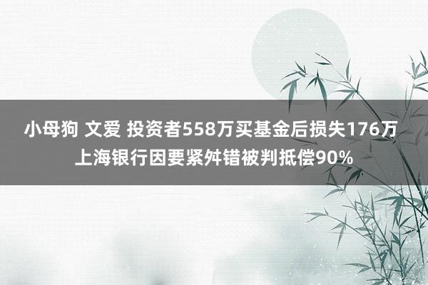 小母狗 文爱 投资者558万买基金后损失176万 上海银行因要紧舛错被判抵偿90%