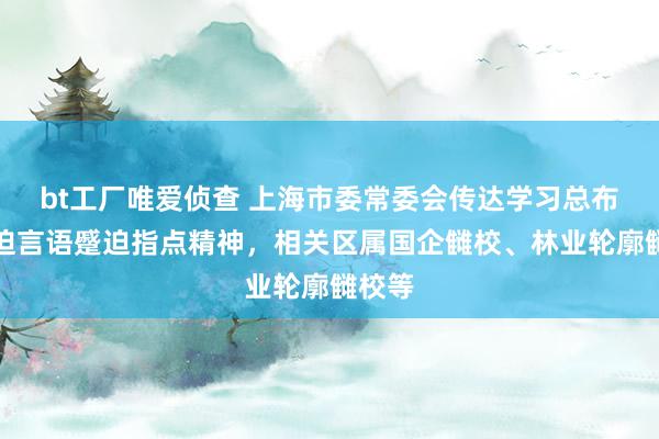 bt工厂唯爱侦查 上海市委常委会传达学习总布告蹙迫言语蹙迫指点精神，相关区属国企雠校、林业轮廓雠校等