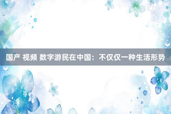 国产 视频 数字游民在中国：不仅仅一种生活形势