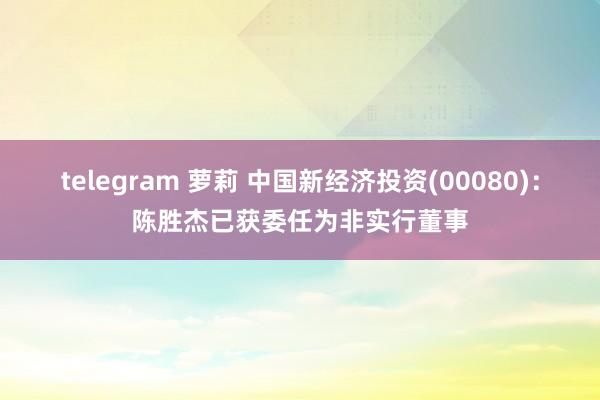 telegram 萝莉 中国新经济投资(00080)：陈胜杰已获委任为非实行董事