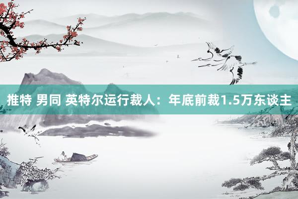 推特 男同 英特尔运行裁人：年底前裁1.5万东谈主