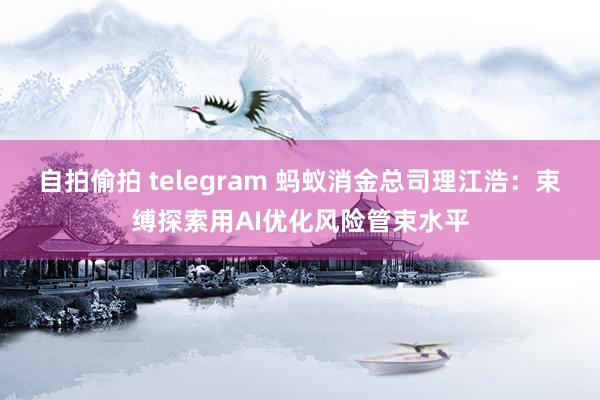 自拍偷拍 telegram 蚂蚁消金总司理江浩：束缚探索用AI优化风险管束水平