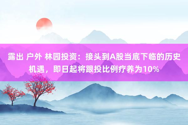 露出 户外 林园投资：接头到A股当底下临的历史机遇，即日起将跟投比例疗养为10%