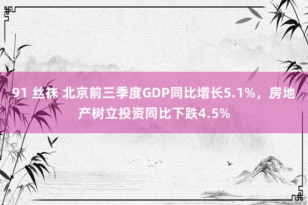 91 丝袜 北京前三季度GDP同比增长5.1%，房地产树立投资同比下跌4.5%