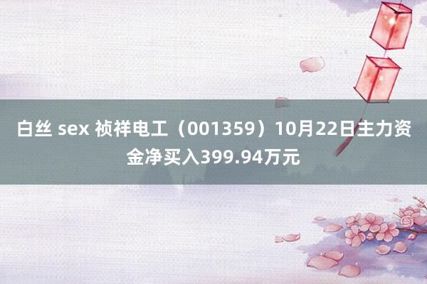 白丝 sex 祯祥电工（001359）10月22日主力资金净买入399.94万元