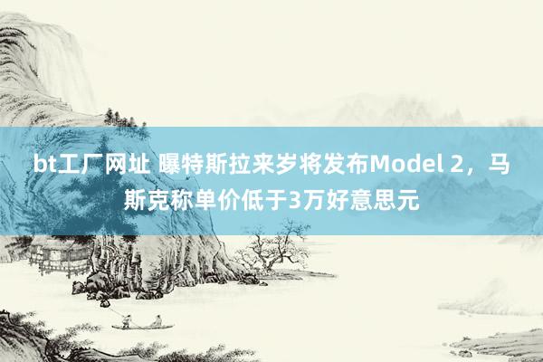 bt工厂网址 曝特斯拉来岁将发布Model 2，马斯克称单价低于3万好意思元