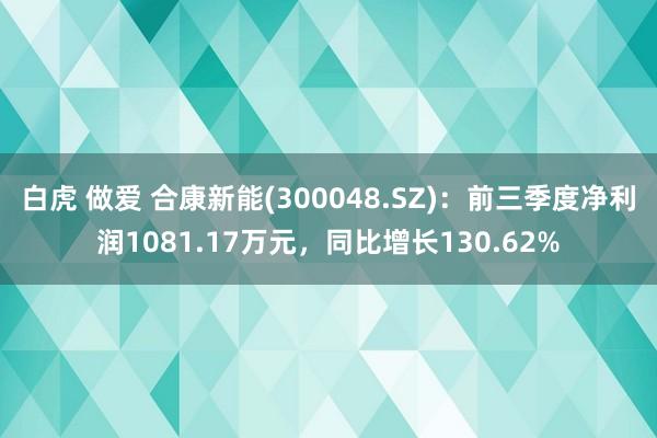 白虎 做爱 合康新能(300048.SZ)：前三季度净利润1081.17万元，同比增长130.62%