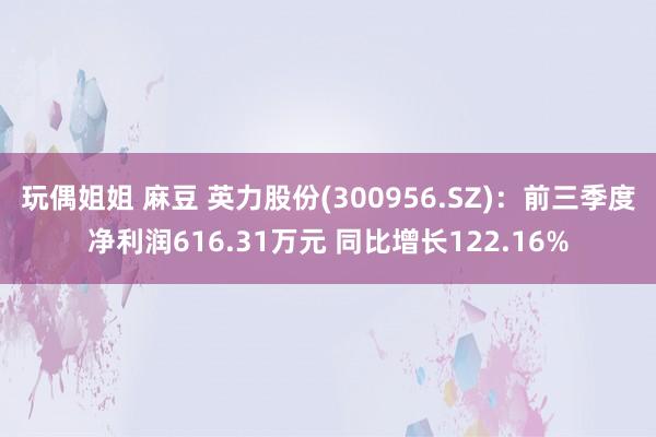 玩偶姐姐 麻豆 英力股份(300956.SZ)：前三季度净利润616.31万元 同比增长122.16%