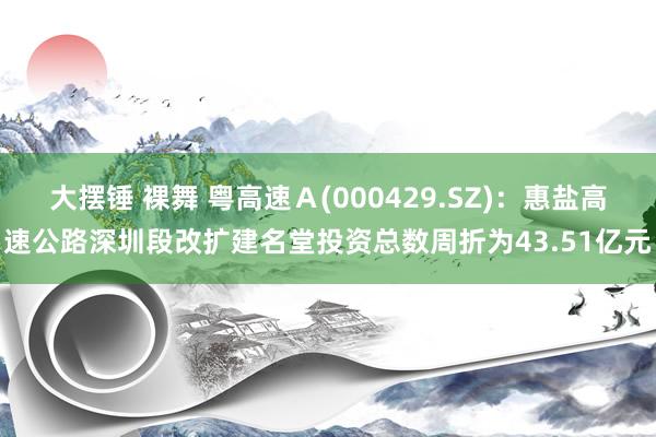 大摆锤 裸舞 粤高速Ａ(000429.SZ)：惠盐高速公路深圳段改扩建名堂投资总数周折为43.51亿元