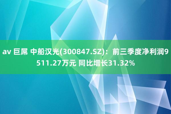 av 巨屌 中船汉光(300847.SZ)：前三季度净利润9511.27万元 同比增长31.32%