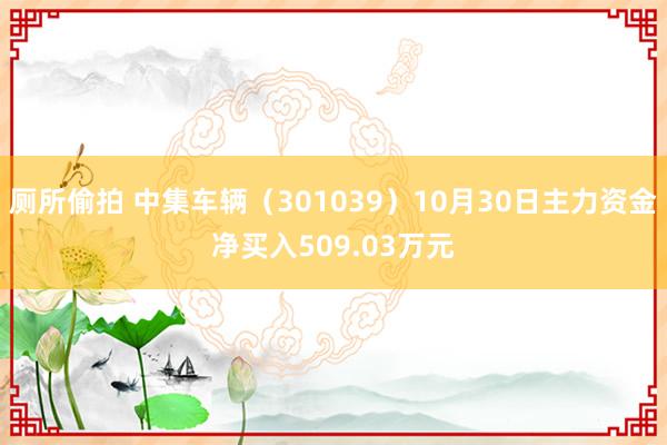 厕所偷拍 中集车辆（301039）10月30日主力资金净买入509.03万元