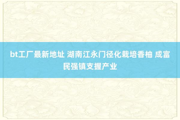 bt工厂最新地址 湖南江永门径化栽培香柚 成富民强镇支握产业