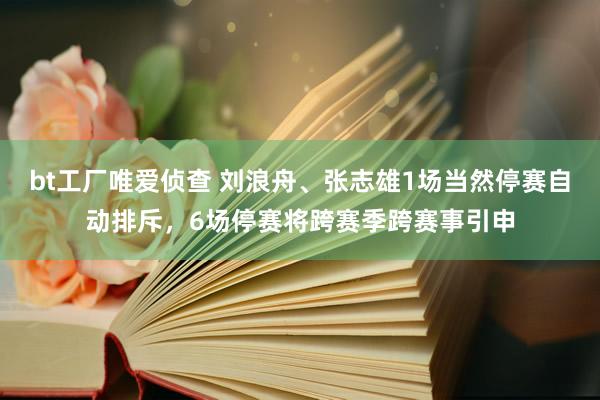 bt工厂唯爱侦查 刘浪舟、张志雄1场当然停赛自动排斥，6场停赛将跨赛季跨赛事引申