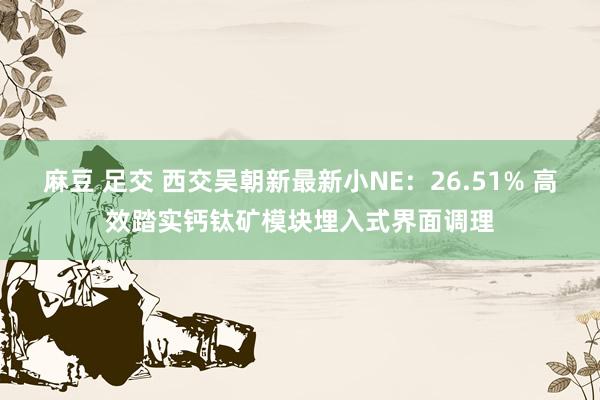 麻豆 足交 西交吴朝新最新小NE：26.51% 高效踏实钙钛矿模块埋入式界面调理