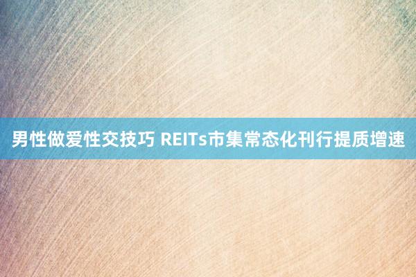 男性做爱性交技巧 REITs市集常态化刊行提质增速