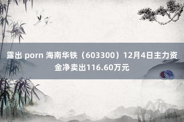 露出 porn 海南华铁（603300）12月4日主力资金净卖出116.60万元