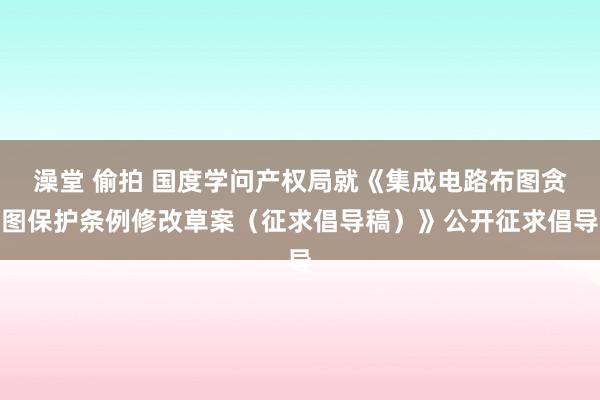 澡堂 偷拍 国度学问产权局就《集成电路布图贪图保护条例修改草案（征求倡导稿）》公开征求倡导