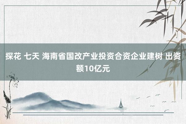 探花 七天 海南省国改产业投资合资企业建树 出资额10亿元