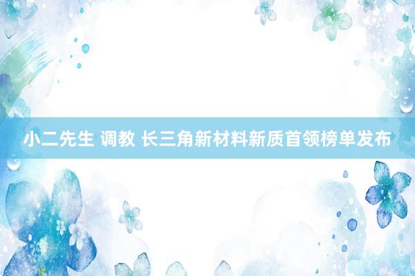 小二先生 调教 长三角新材料新质首领榜单发布