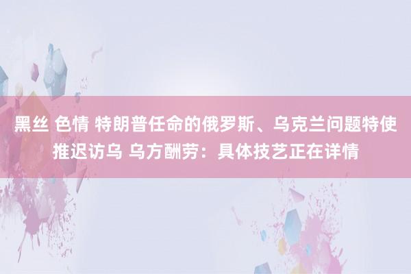 黑丝 色情 特朗普任命的俄罗斯、乌克兰问题特使推迟访乌 乌方酬劳：具体技艺正在详情