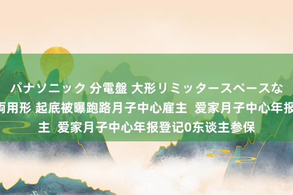 パナソニック 分電盤 大形リミッタースペースなし 露出・半埋込両用形 起底被曝跑路月子中心雇主  爱家月子中心年报登记0东谈主参保