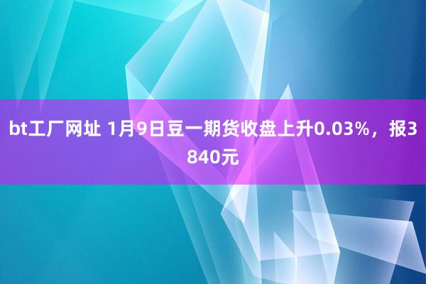 bt工厂网址 1月9日豆一期货收盘上升0.03%，报3840元