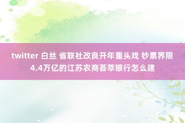 twitter 白丝 省联社改良开年重头戏 钞票界限4.4万亿的江苏农商荟萃银行怎么建