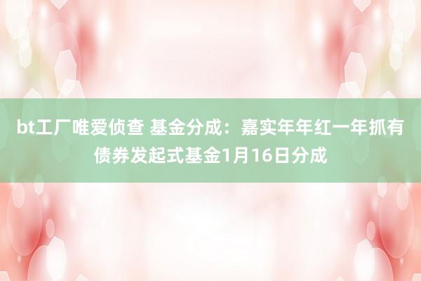 bt工厂唯爱侦查 基金分成：嘉实年年红一年抓有债券发起式基金1月16日分成