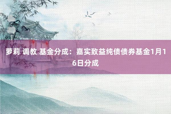 萝莉 调教 基金分成：嘉实致益纯债债券基金1月16日分成