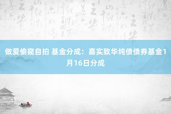 做爱偷窥自拍 基金分成：嘉实致华纯债债券基金1月16日分成