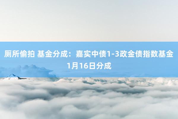 厕所偷拍 基金分成：嘉实中债1-3政金债指数基金1月16日分成