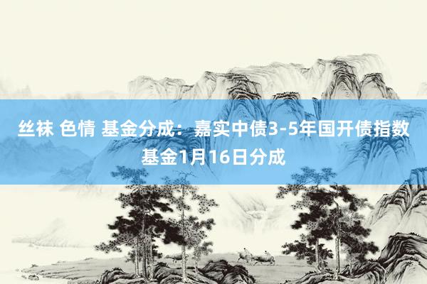 丝袜 色情 基金分成：嘉实中债3-5年国开债指数基金1月16日分成