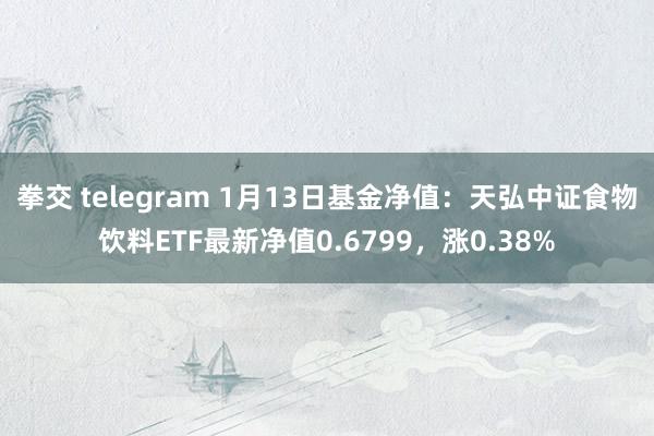 拳交 telegram 1月13日基金净值：天弘中证食物饮料ETF最新净值0.6799，涨0.38%